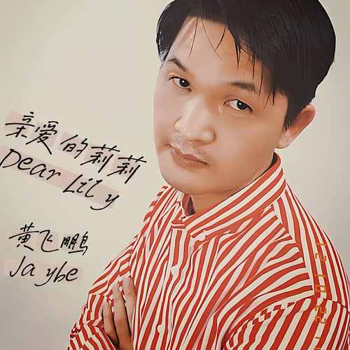 Dear Lily — Jaybe album cover